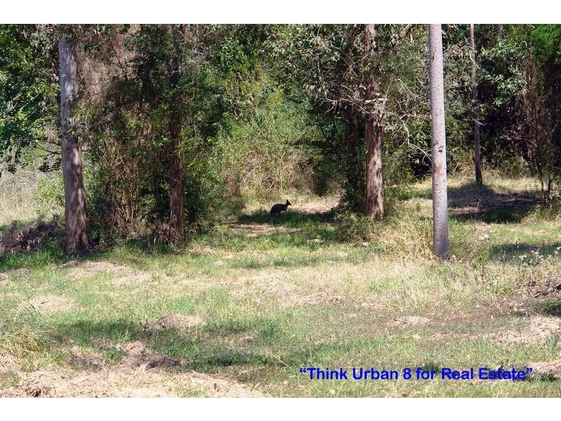 14 Wybelenna Street, Brookfield QLD 4069